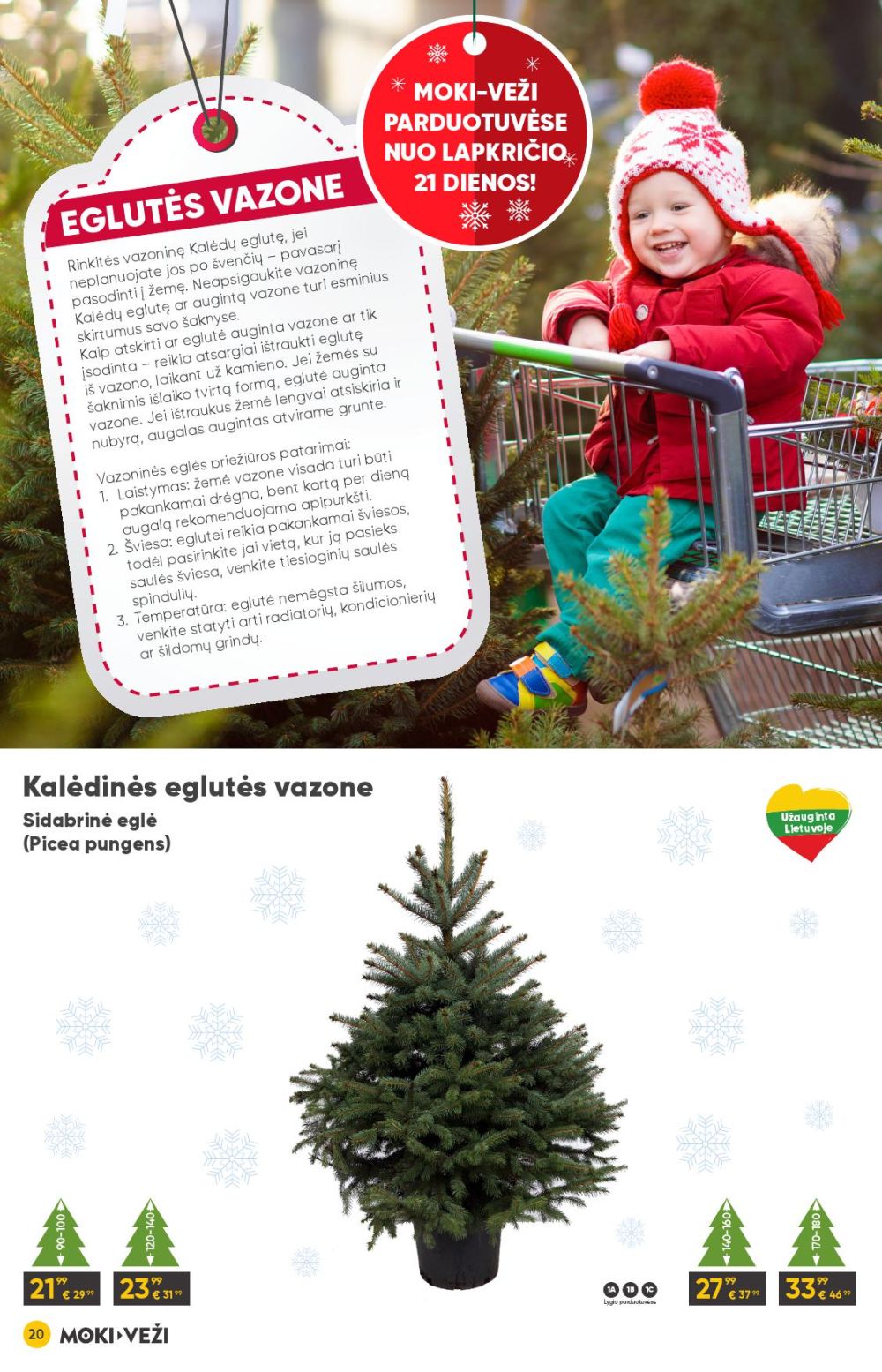 MOKI - VEŽI - Leidinys Nr.12 (2025 11 13 - 2025 12 09) | 20