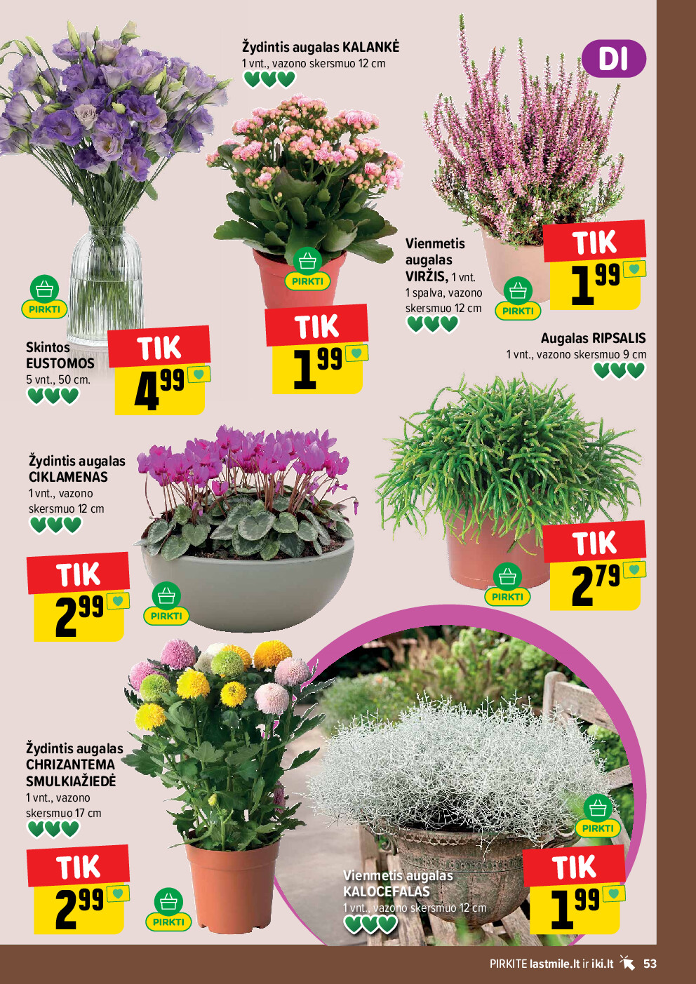 IKI Kainų leidinys Nr. 36 (2026-08-31 - 2026-09-06) | 53