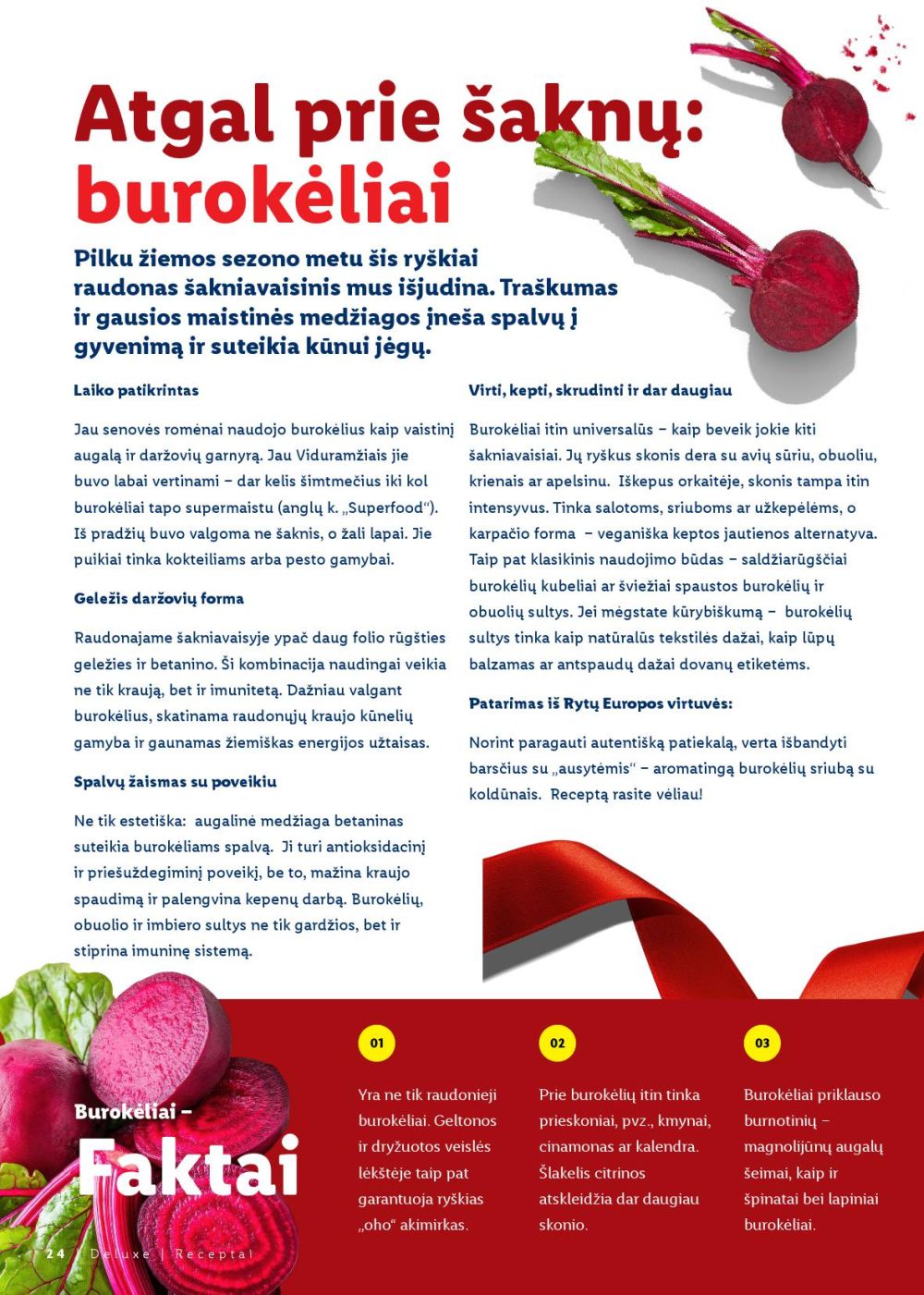 LIDL - Kalėdų stalui | 24