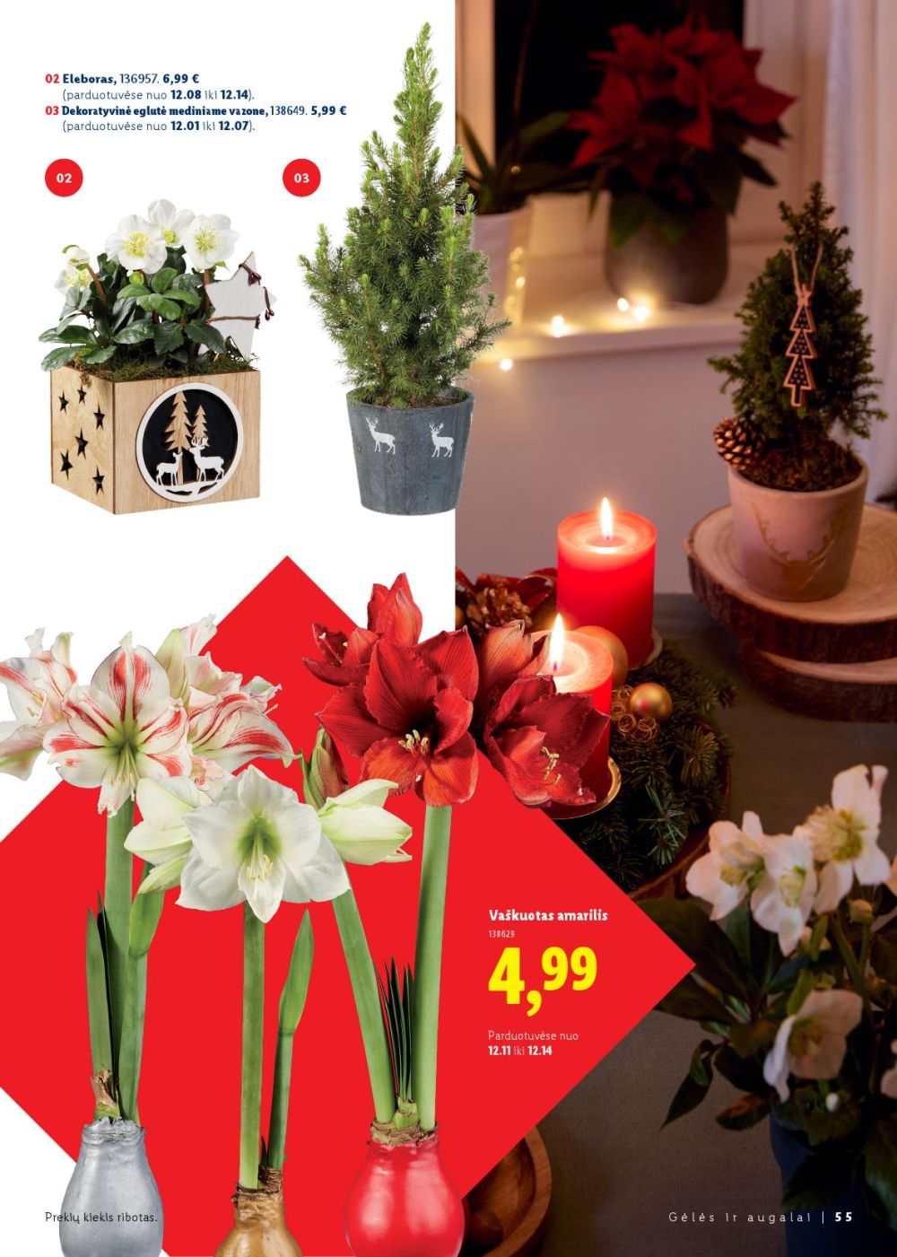 LIDL - Kalėdų stalui | 55