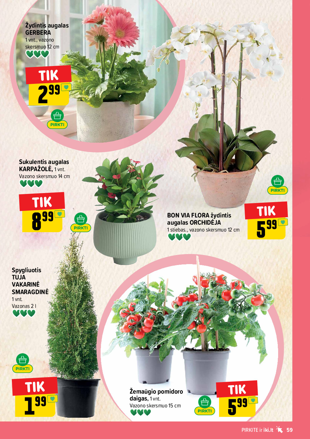  (2026-04-27 - 2026-05-03) | 59