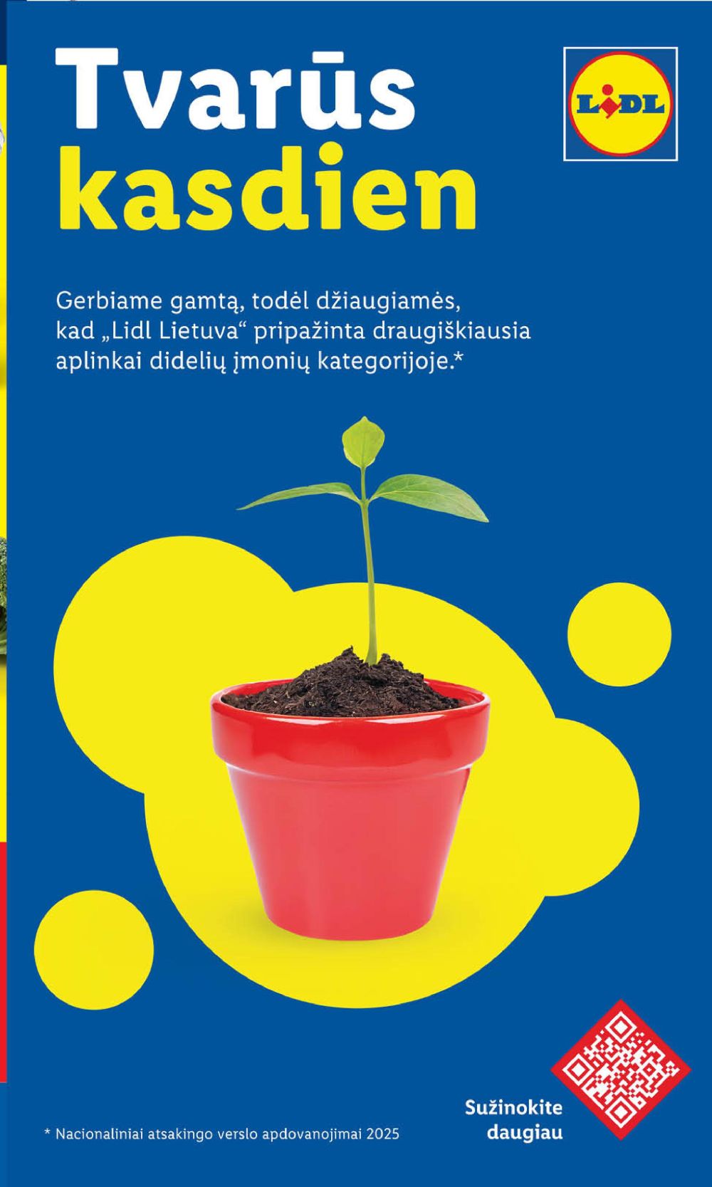 LIDL - Maisto prekių pasiūlymai (2025 12 29 - 2026 01 04) | 37