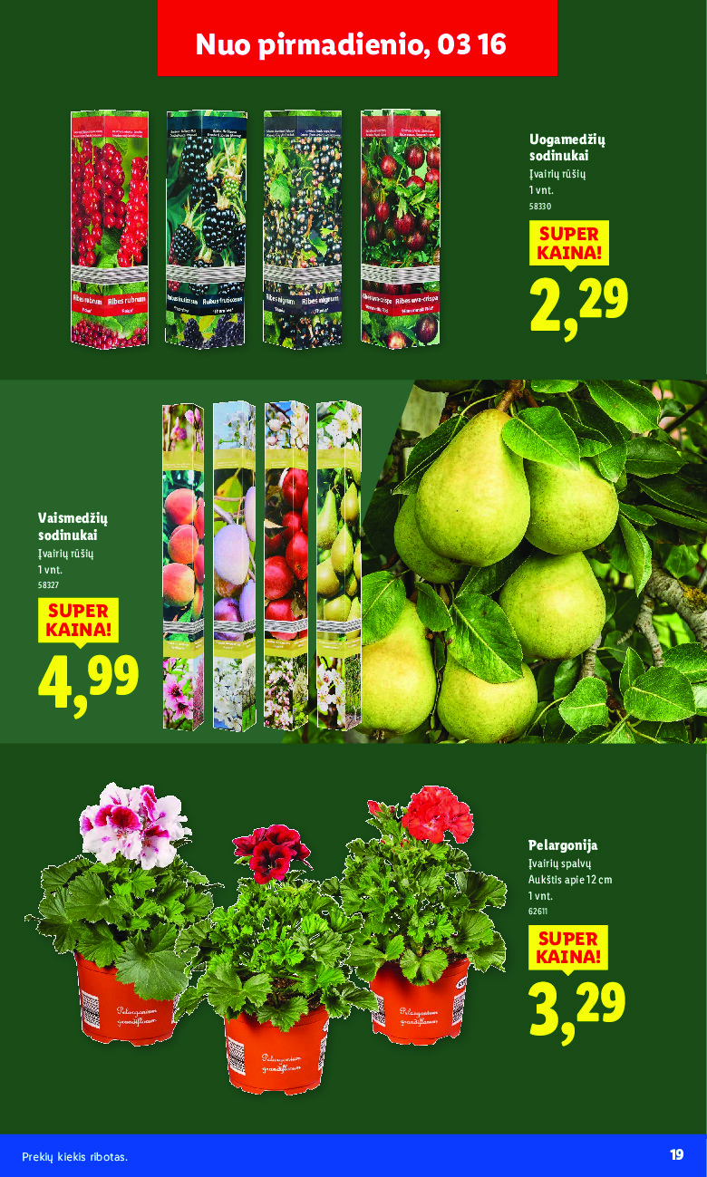 Sodui valio! (2026-02-16 - 2026-03-29) | 19