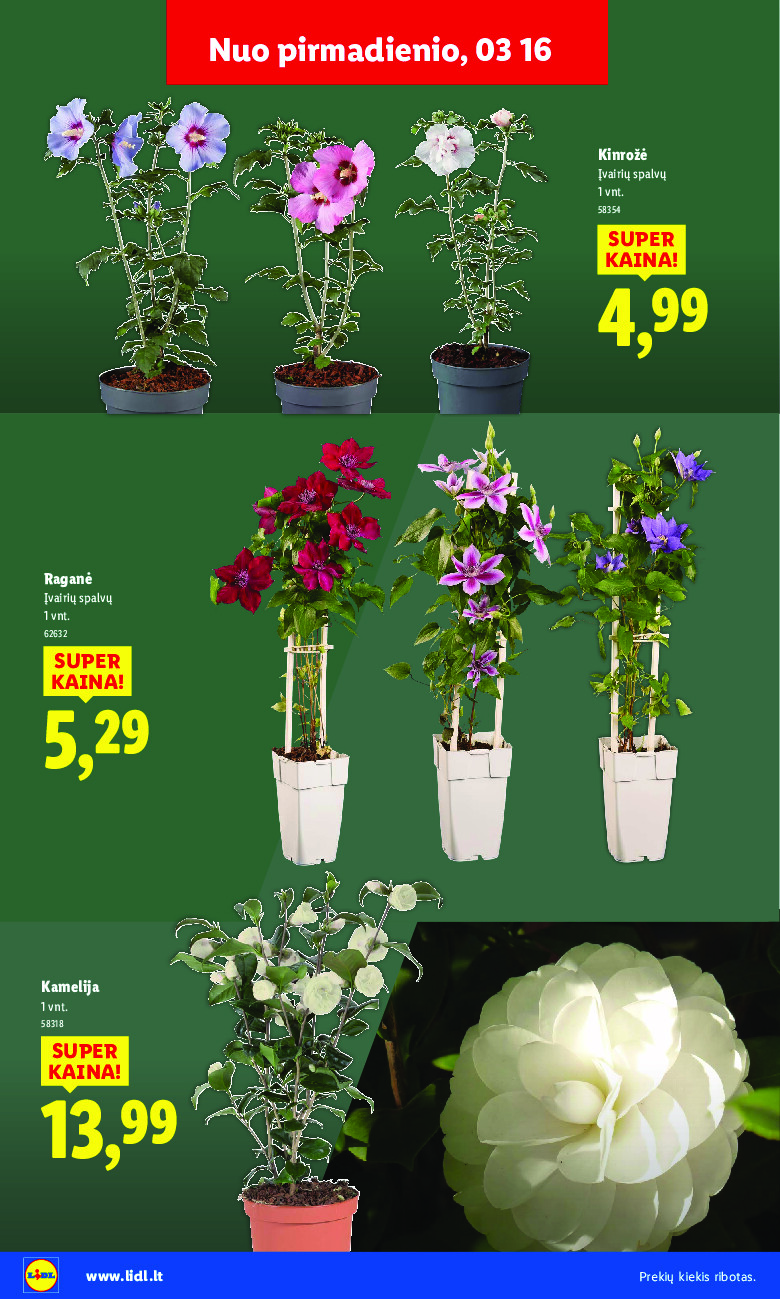 Sodui valio! (2026-02-16 - 2026-03-29) | 20