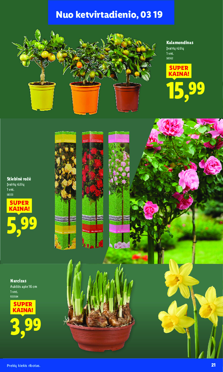 Sodui valio! (2026-02-16 - 2026-03-29) | 21