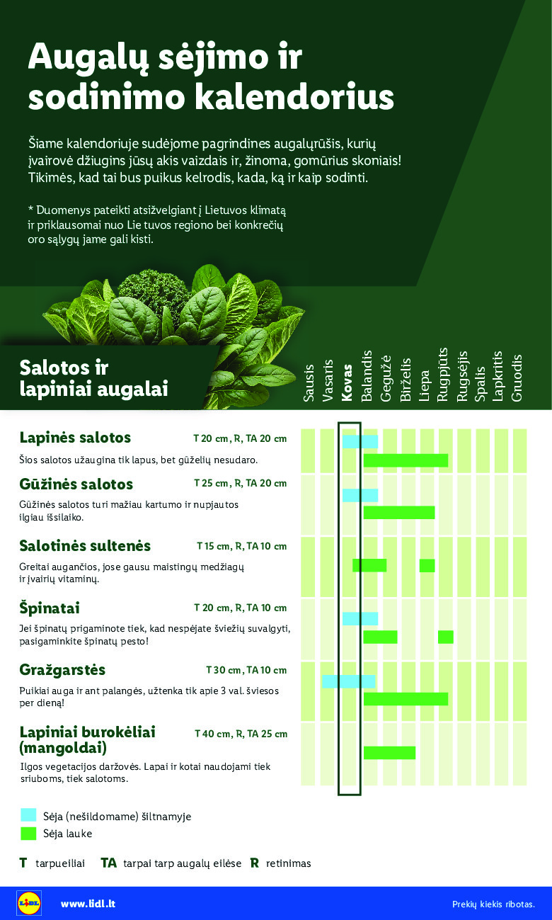 Sodui valio! (2026-02-16 - 2026-03-29) | 4