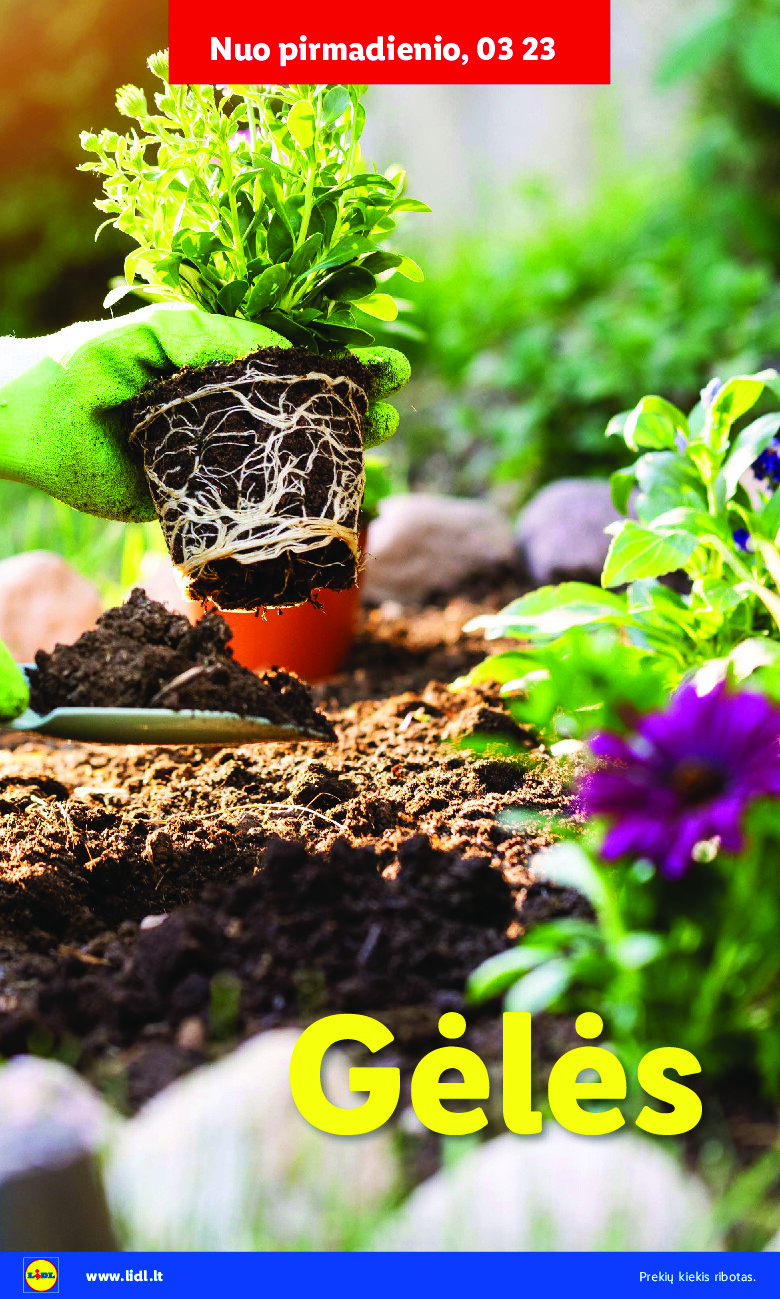 Sodui valio! (2026-02-16 - 2026-03-29) | 32