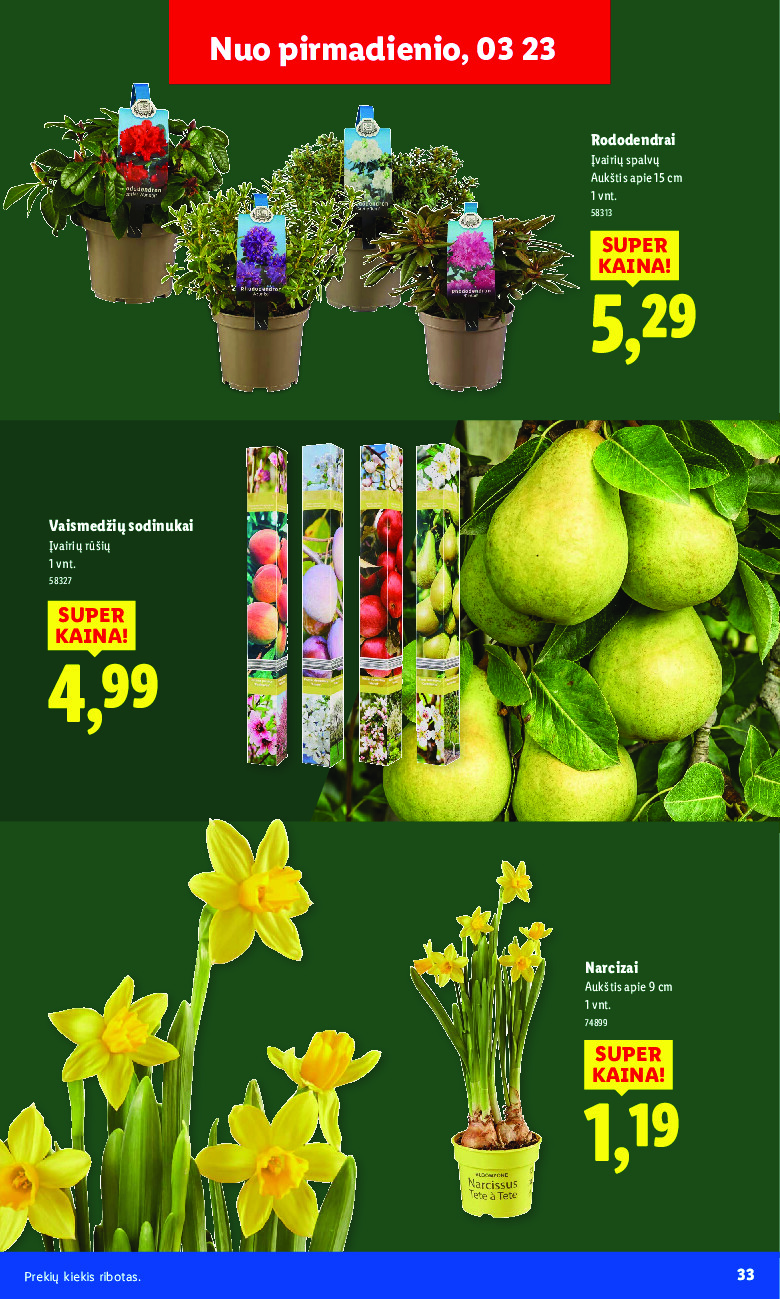 Sodui valio! (2026-02-16 - 2026-03-29) | 33