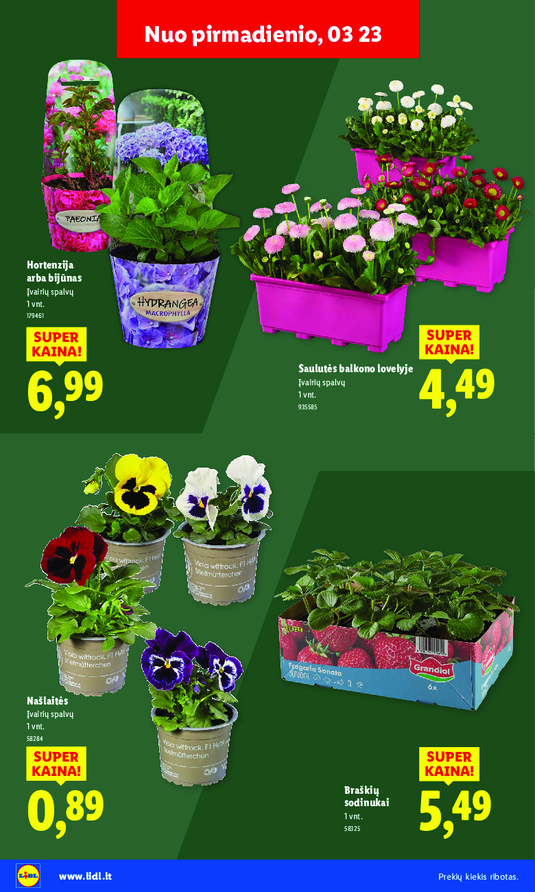 Sodui valio! (2026-02-16 - 2026-03-29) | 34