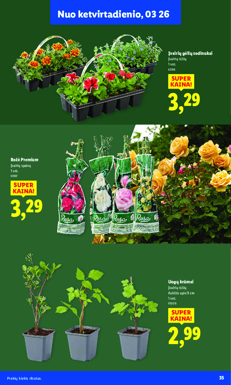 Sodui valio! (2026-02-16 - 2026-03-29) | 35