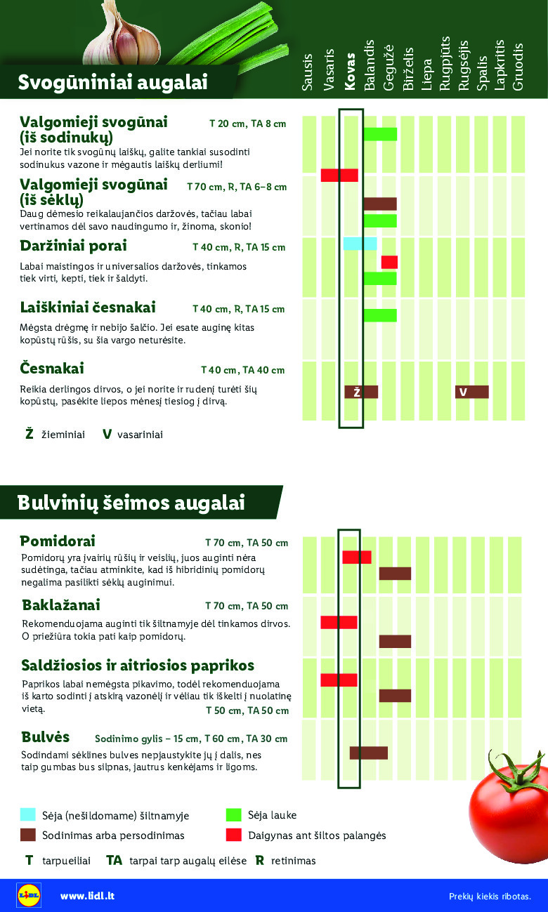 Sodui valio! (2026-02-16 - 2026-03-29) | 6