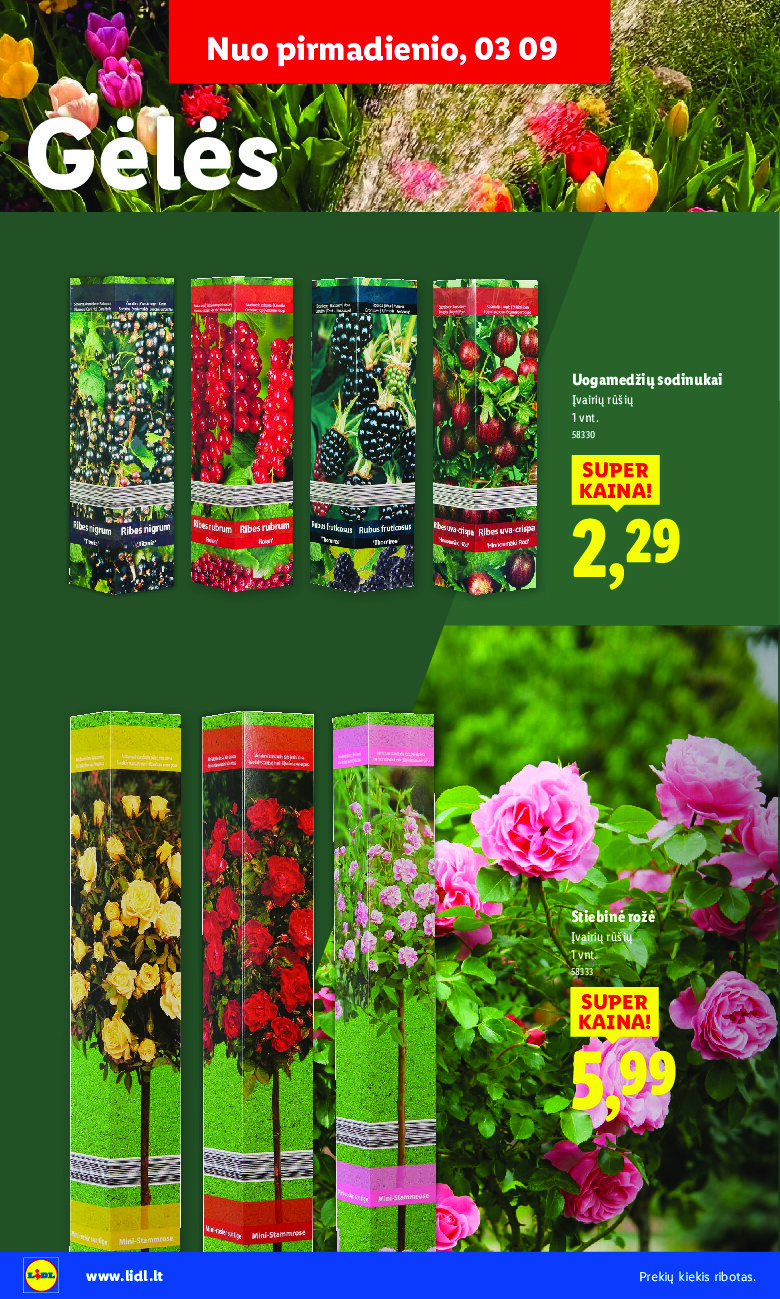 Sodui valio! (2026-02-16 - 2026-03-29) | 8