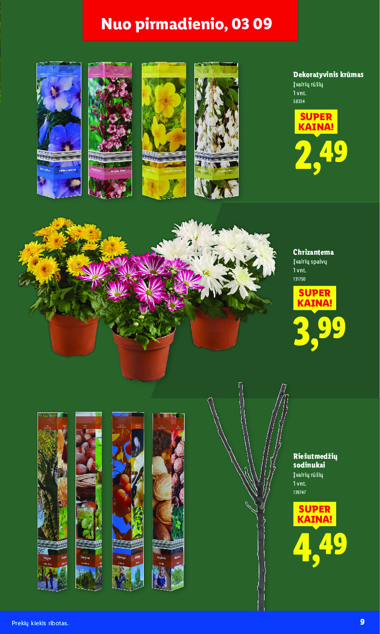 Sodui valio! (2026-02-16 - 2026-03-29) | 9