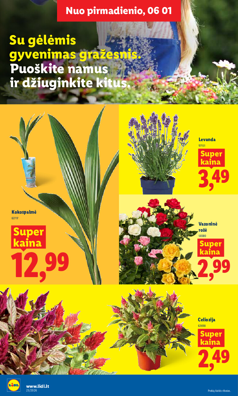 MAISTO PREKIŲ PASIŪLYMAI (2026-06-01 - 2026-06-07) | 8