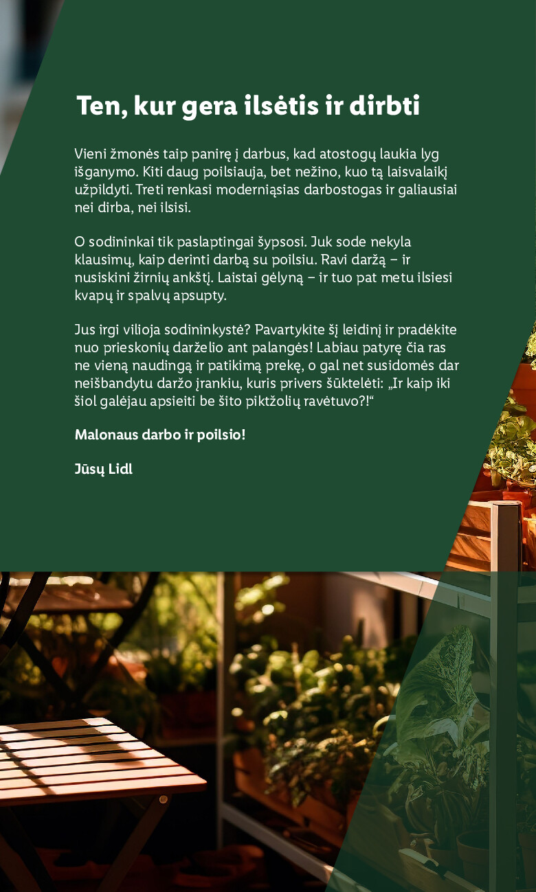 Sodui valio! (2026-02-16 - 2026-06-07) | 2