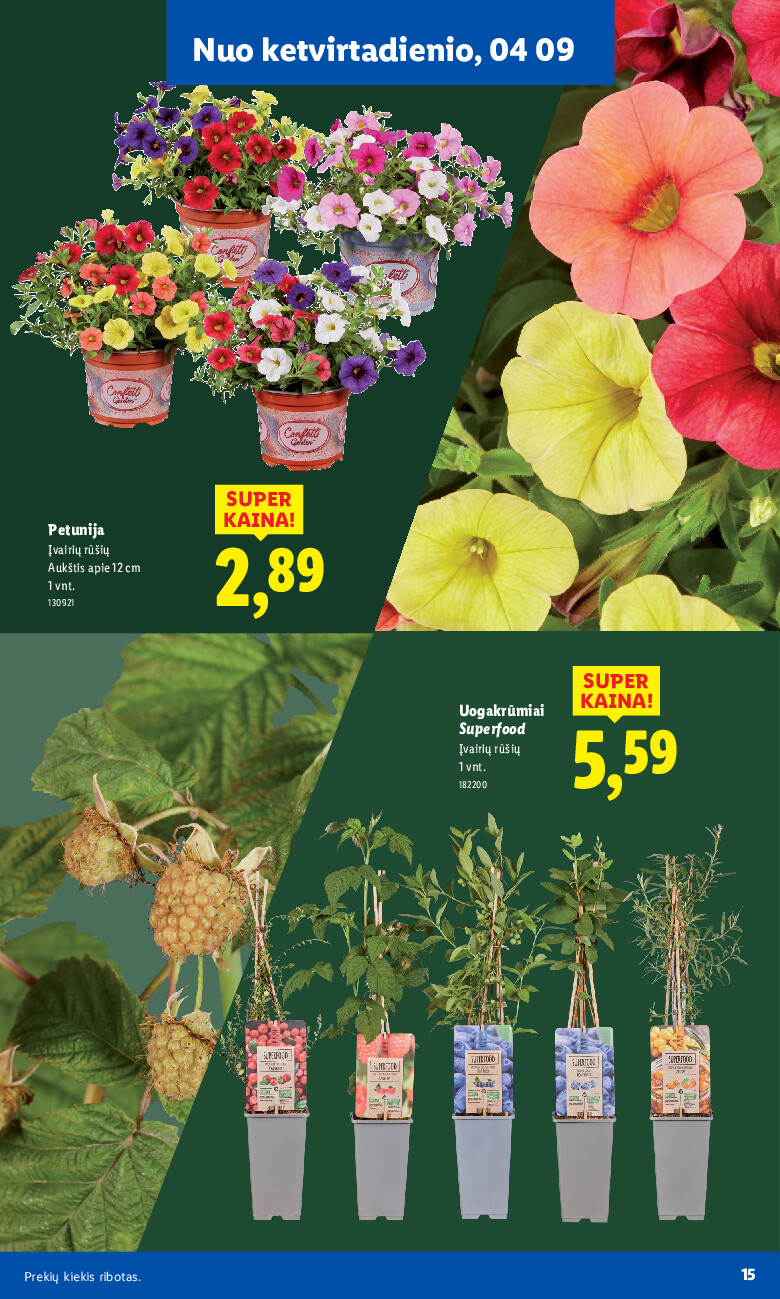 Sodui valio! (2026-02-16 - 2026-06-07) | 15