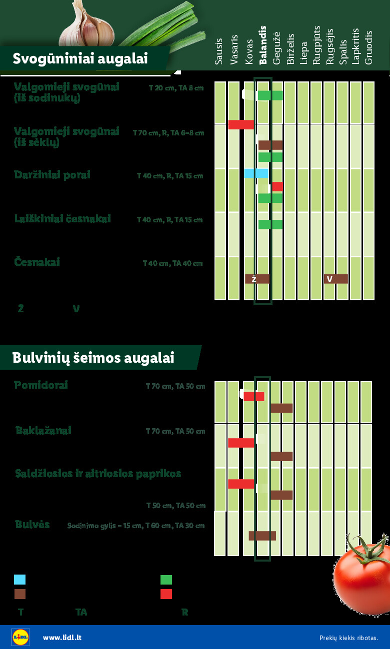 Sodui valio! (2026-02-16 - 2026-06-07) | 6