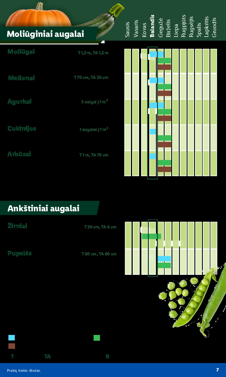 Sodui valio! (2026-02-16 - 2026-06-07) | 7