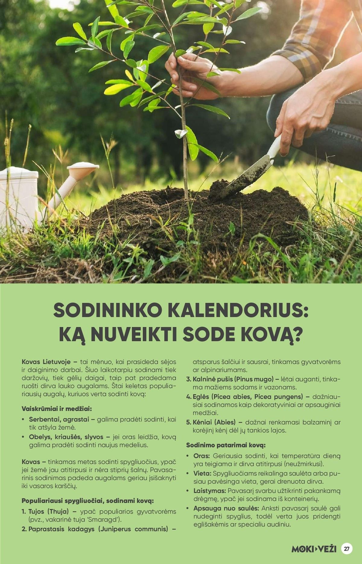 MOKI - VEŽI - Leidinys Nr.3 (2028 03 05 - 2026 03 31) | 27