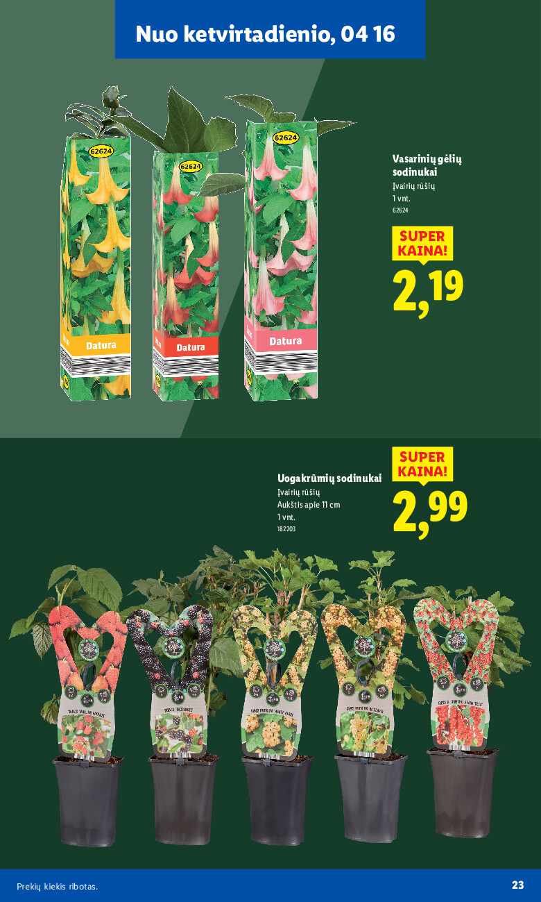 Sodui valio! (2026-02-16 - 2026-06-07) | 23