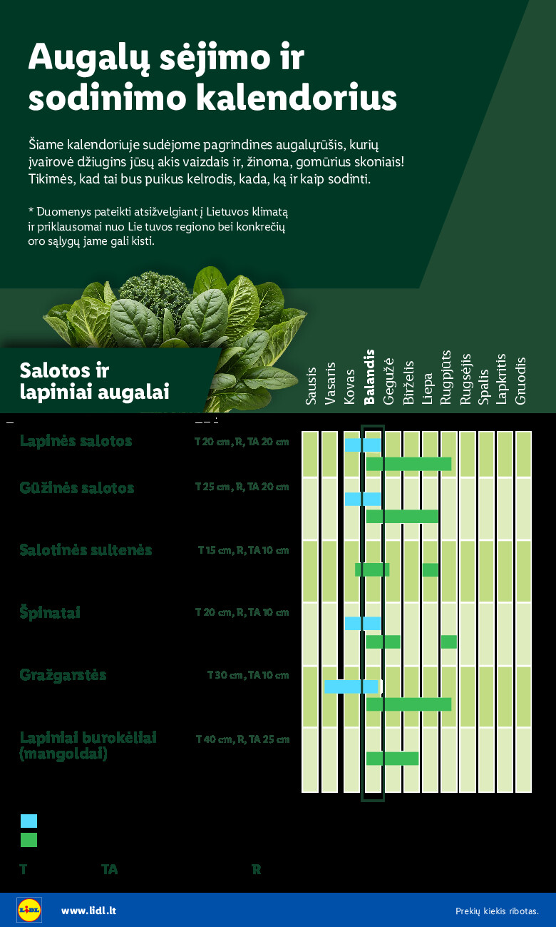 Sodui valio! (2026-02-16 - 2026-06-07) | 4