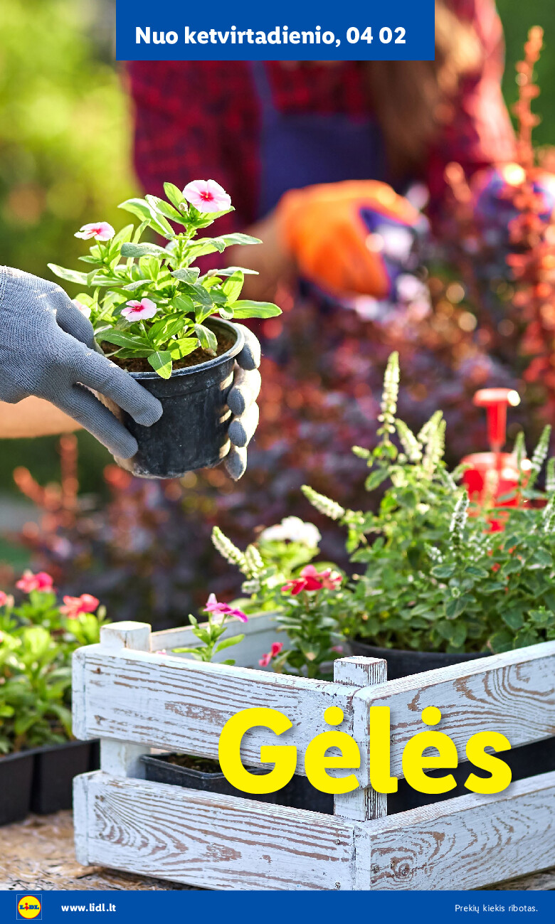 Sodui valio! (2026-02-16 - 2026-06-07) | 8