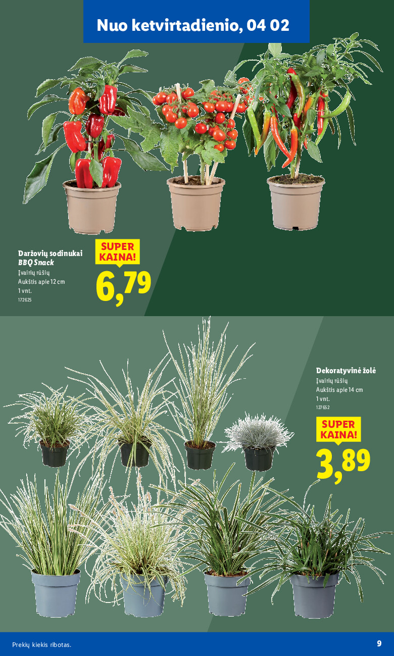 Sodui valio! (2026-02-16 - 2026-06-07) | 9