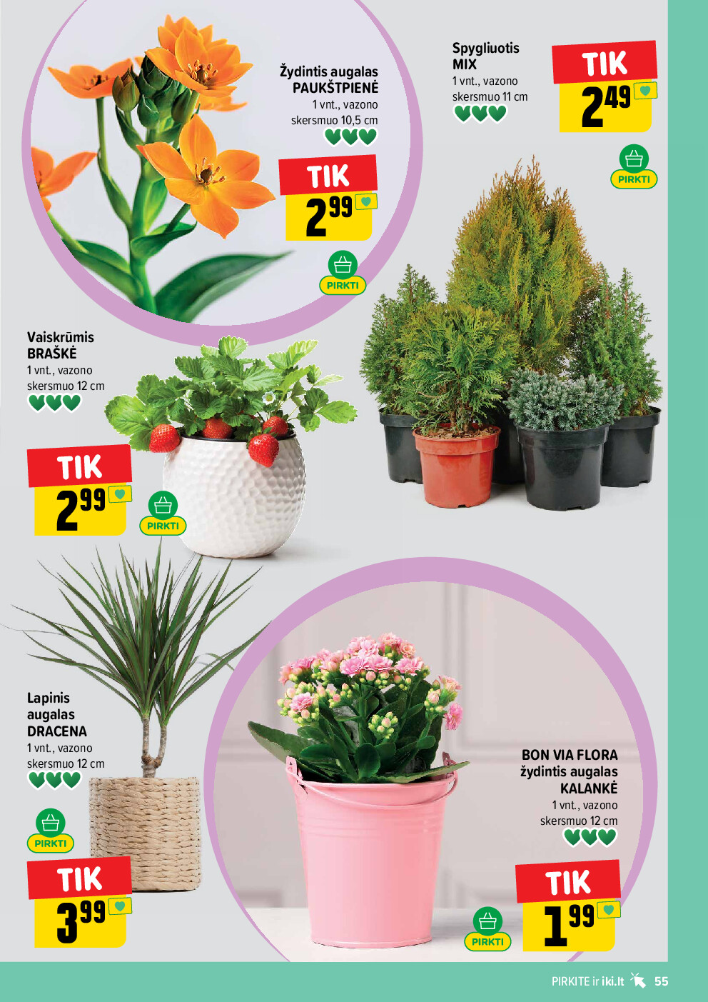  (2026-04-06 - 2026-04-12) | 55