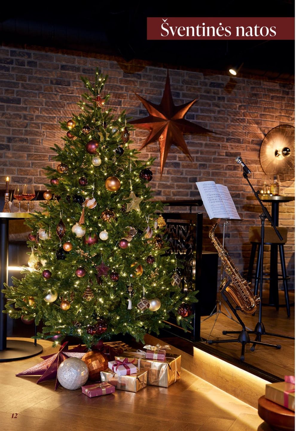 ERMITAŽAS (2025 12 01 - 2026 01 04) | 12