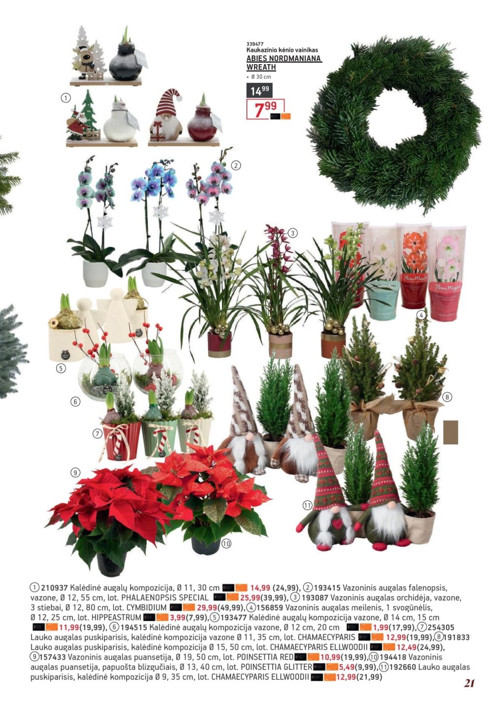 ERMITAŽAS (2025 12 01 - 2026 01 04) | 21