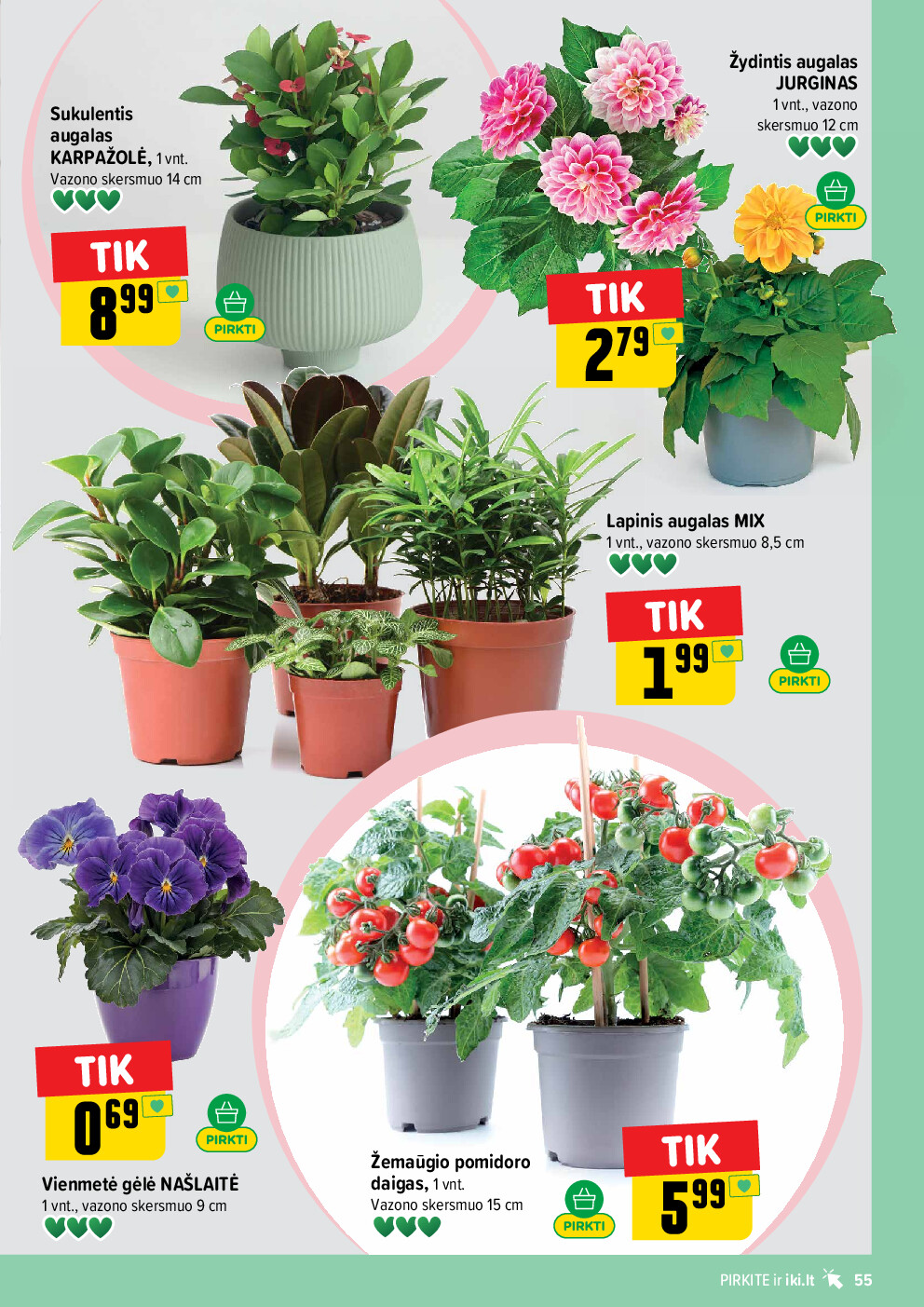  (2026-04-13 - 2026-04-19) | 55