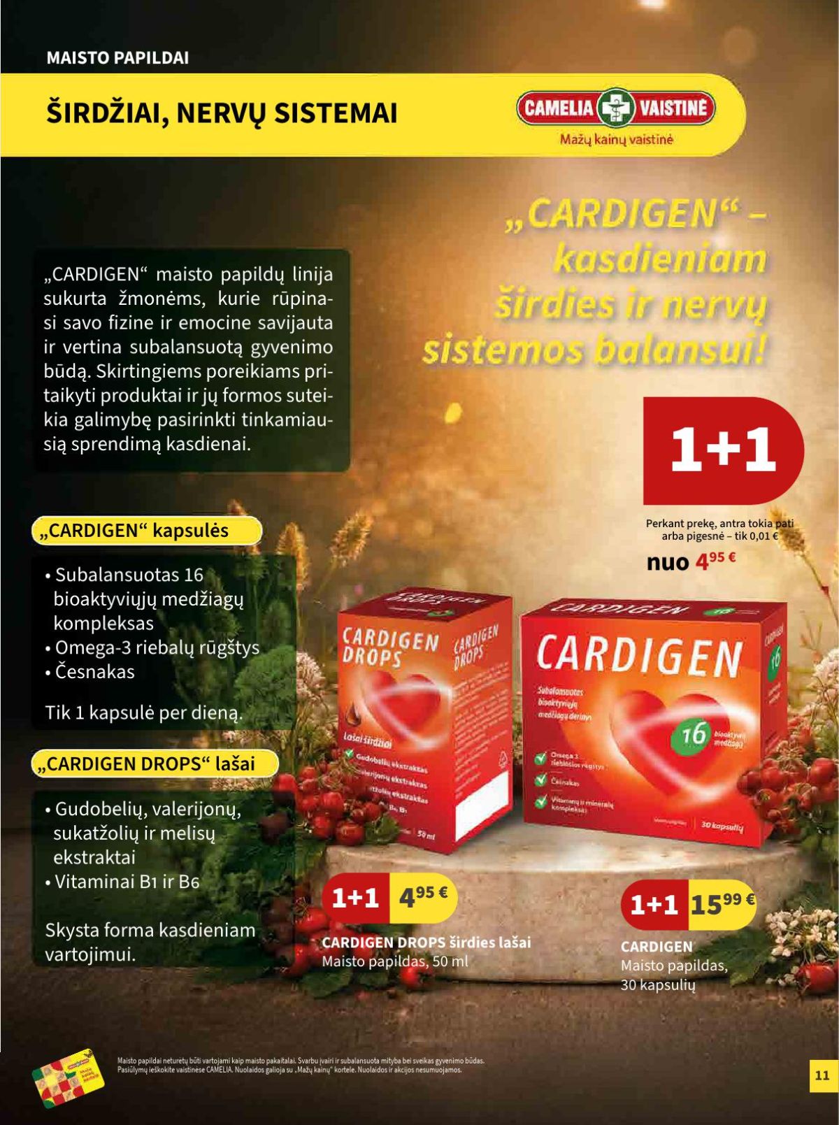 CAMELIA - Leidinys Nr.7 (2026 07 01 - 2026 07 31) | 6