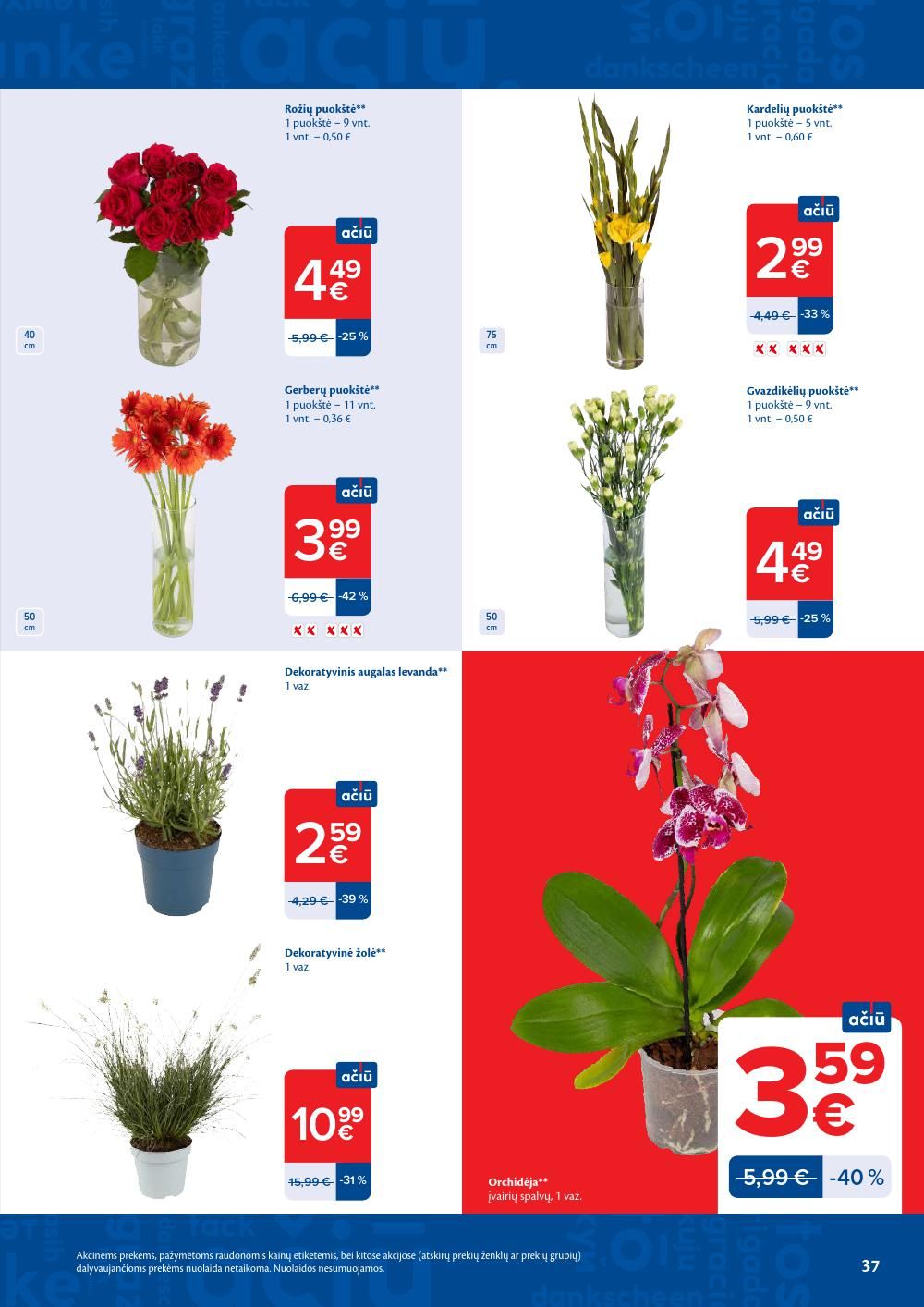 MAXIMA - Kaininis leidinys Nr.32 (2026 08 04 - 2026 08 10) | 19