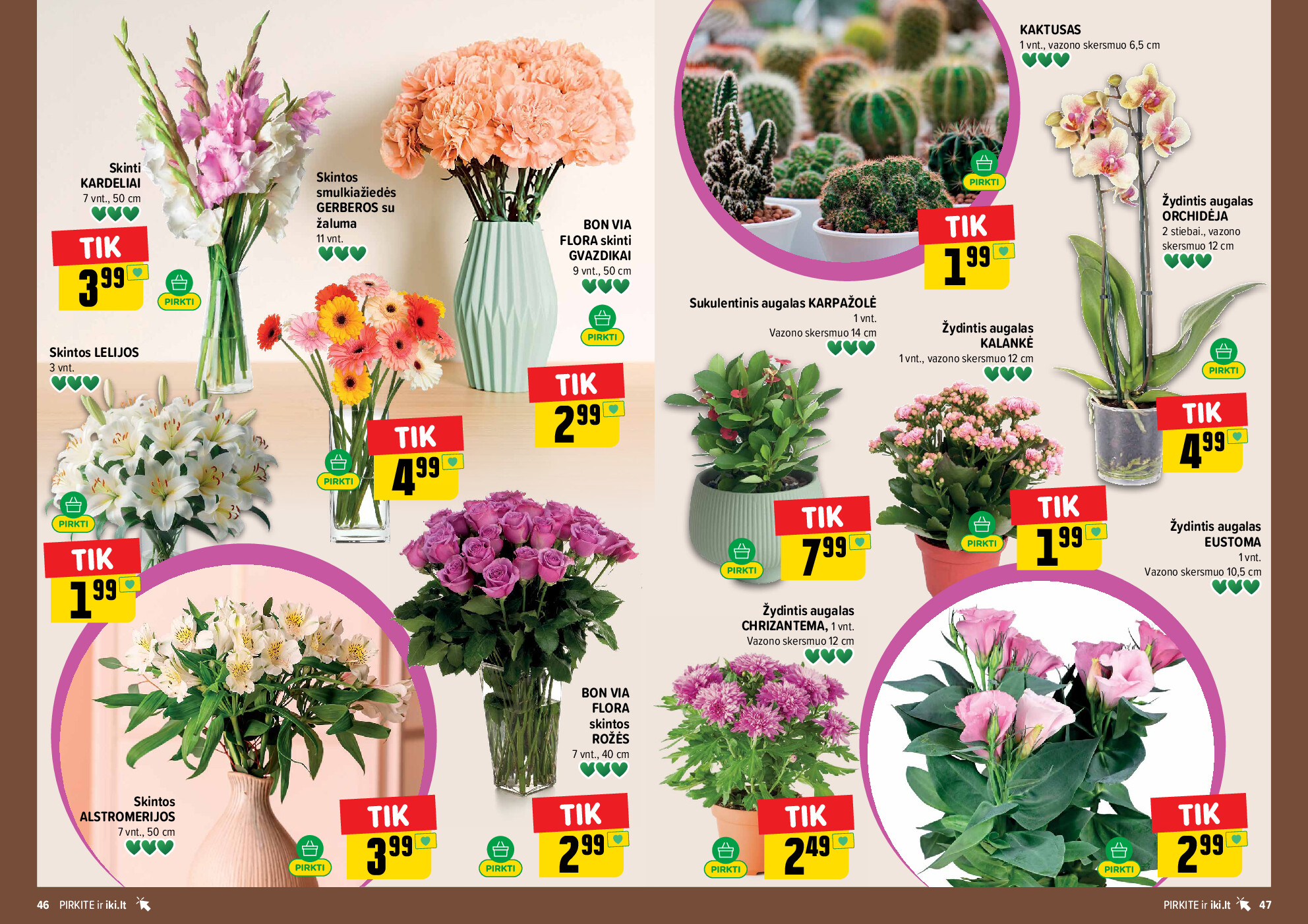IKI Kainų leidinys Nr. 32 (2026-08-03 - 2026-08-09) | 24