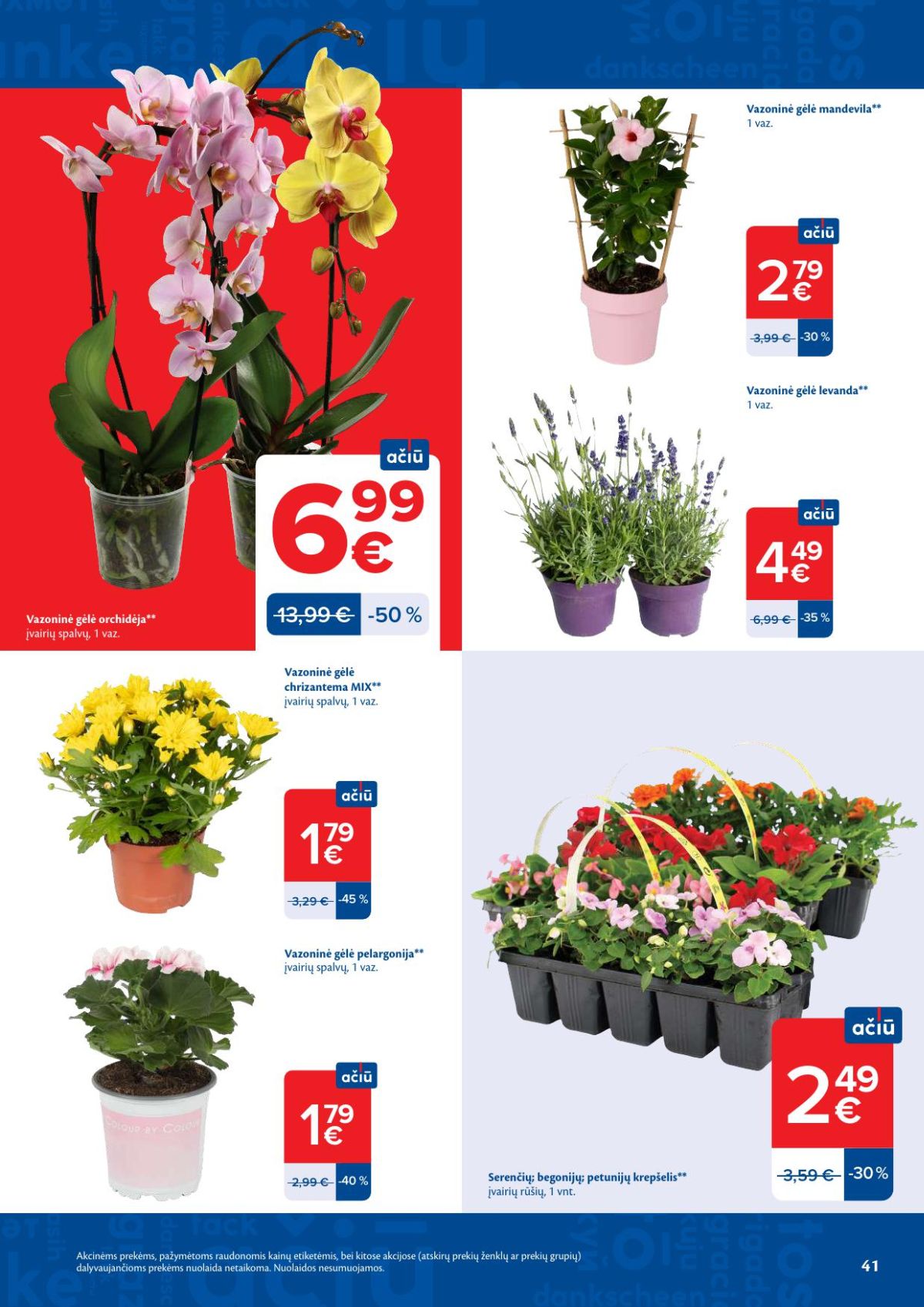 MAXIMA - Kaininis leidinys Nr.21 (2026 05 19 - 2026 05 25) | 21