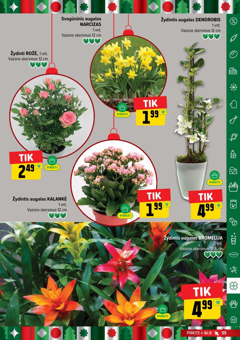 IKI - Leidinys Nr.52 (2025 12 22 - 2025 12 28) | 55