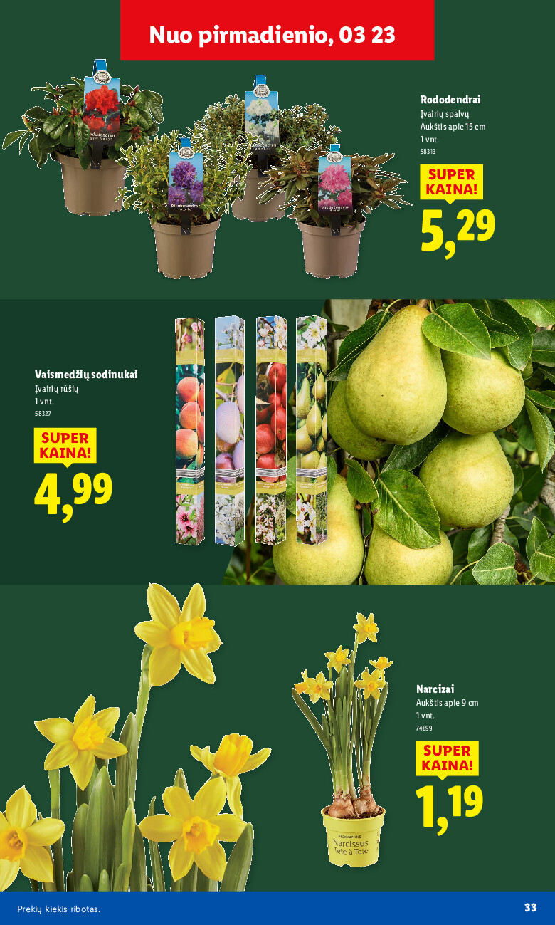 Sodui valio! (2026-02-16 - 2026-03-29) | 33