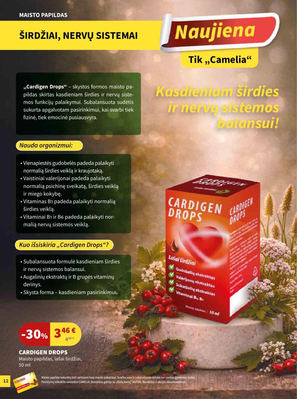 CAMELIA - Leidinys Nr.2 (2026 02 01 - 2026 02 28) | 12