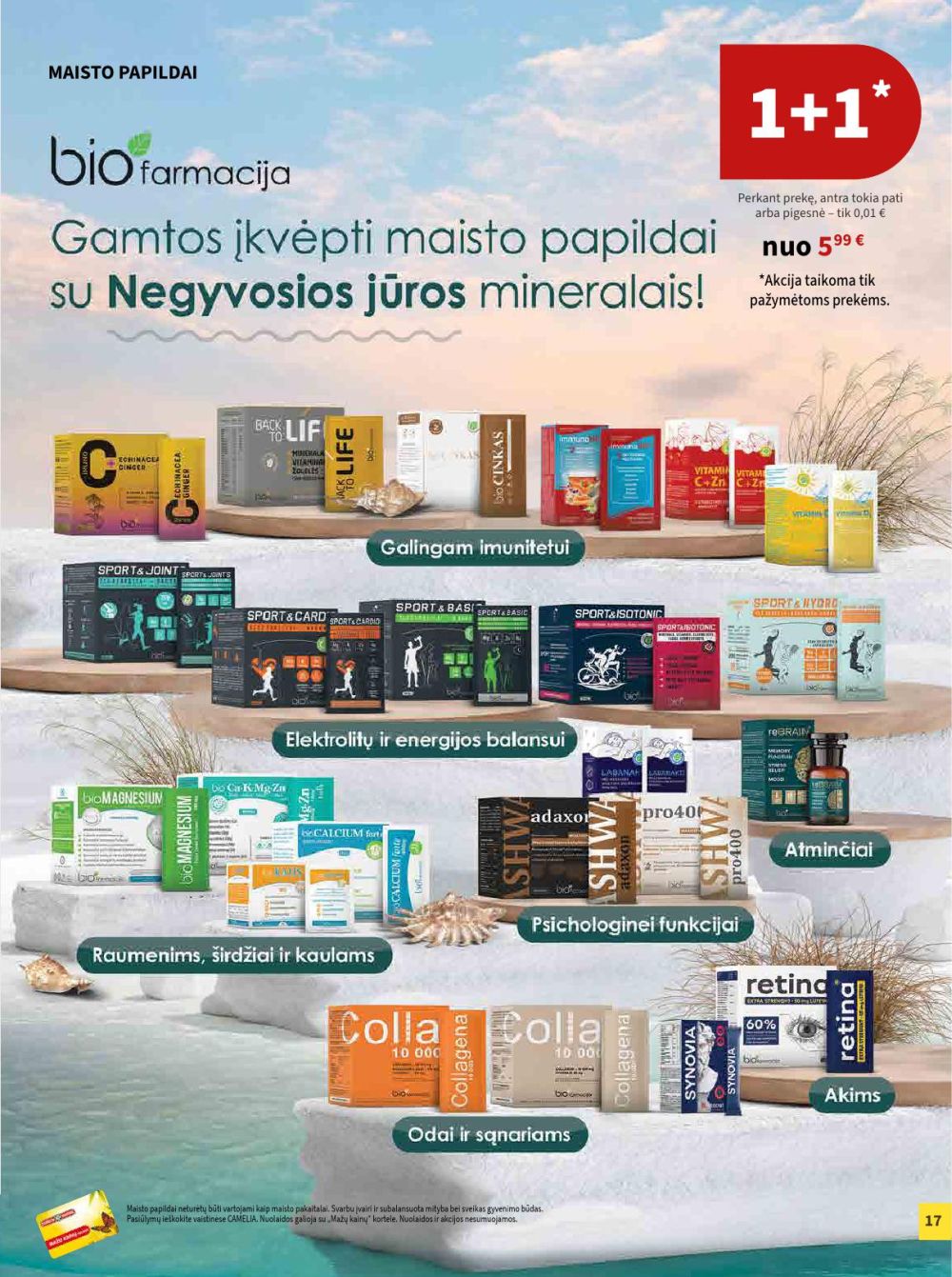 CAMELIA - Leidinys Nr.2 (2026 02 01 - 2026 02 28) | 17