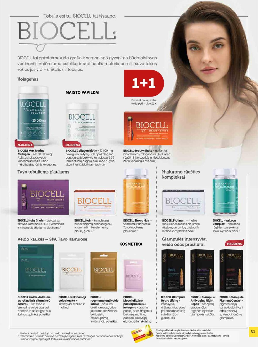 CAMELIA - Leidinys Nr.2 (2026 02 01 - 2026 02 28) | 31