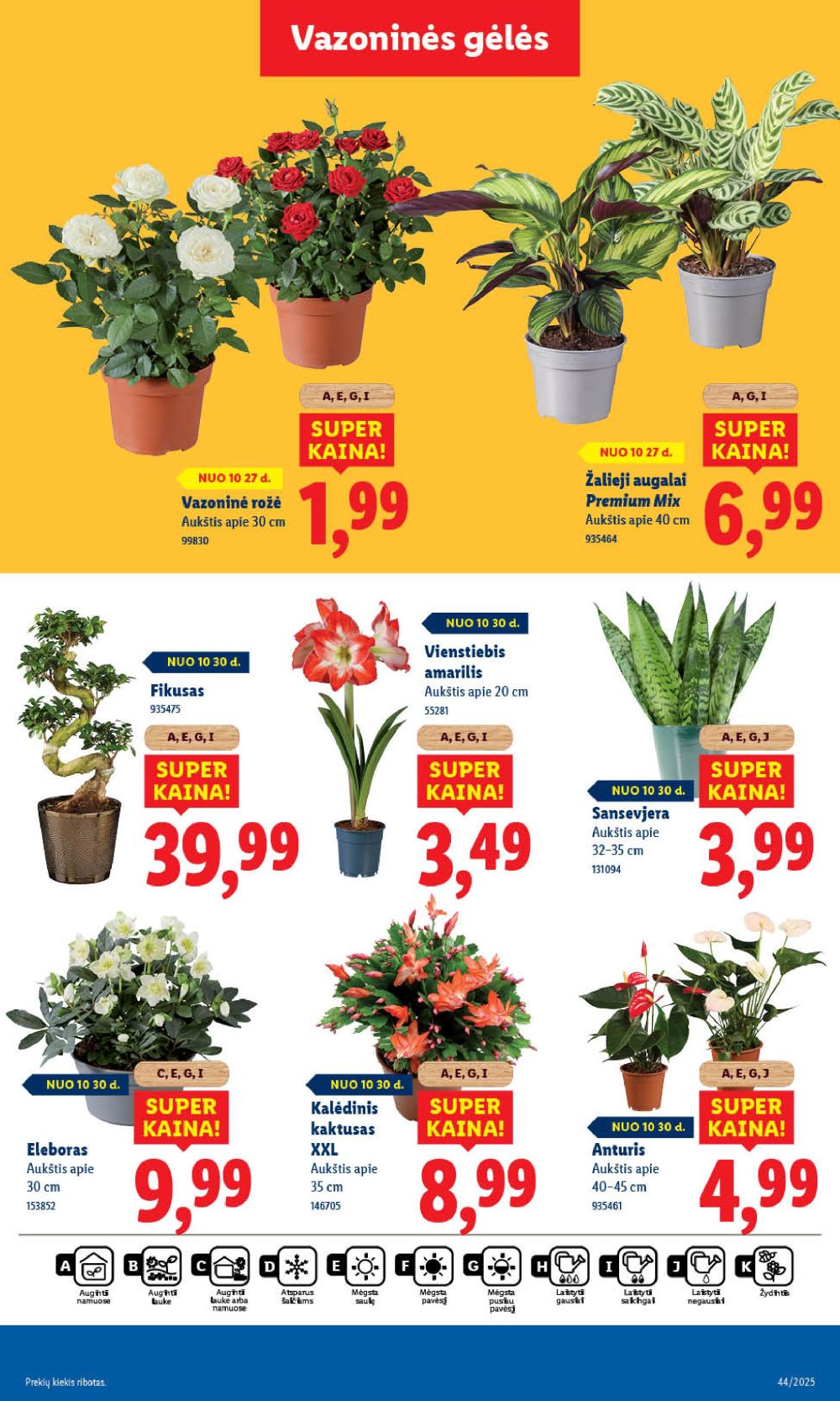 LIDL - Maisto prekių pasiūlymai (2025 10 30 - 2025 11 02) | 57