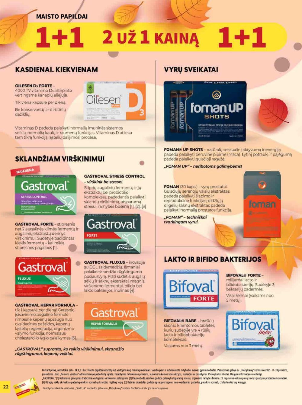 CAMELIA - Leidinys Nr.11 (2025 11 01 - 2025 11 30) | 22