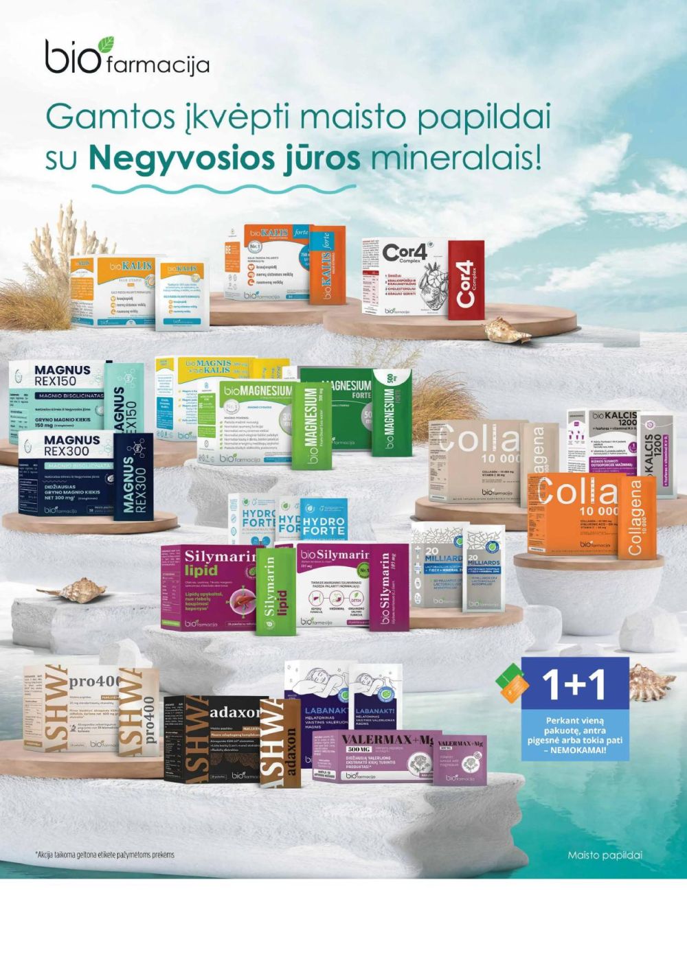 GINTARINĖ VAISTINĖ (2026 02 01 - 2026 02 28) | 2