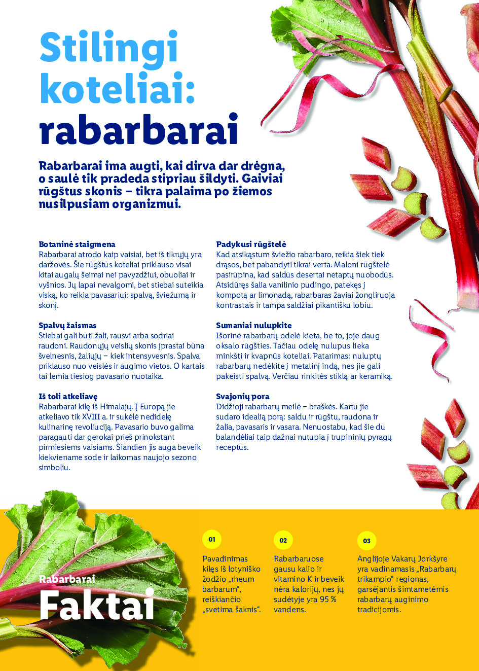 Velykos, pilnos džiaugsmo (2026-02-23 - 2026-04-06) | 66