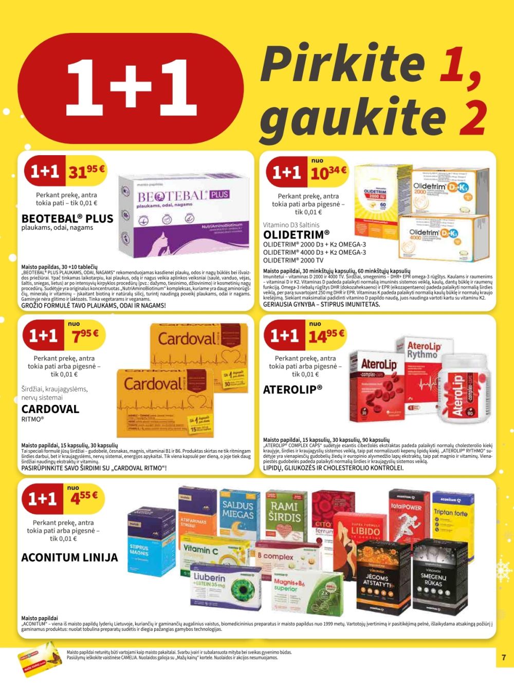 CAMELIA - Leidinys Nr.12 (2025 12 01 - 2025 12 31) | 7