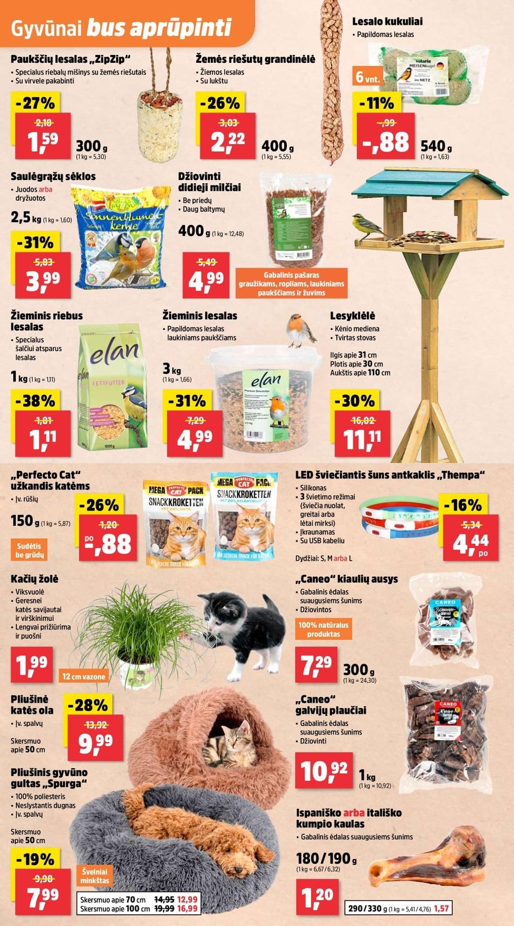 THOMAS PHILIPPS (2025 12 15 - 2025 12 20) | 8