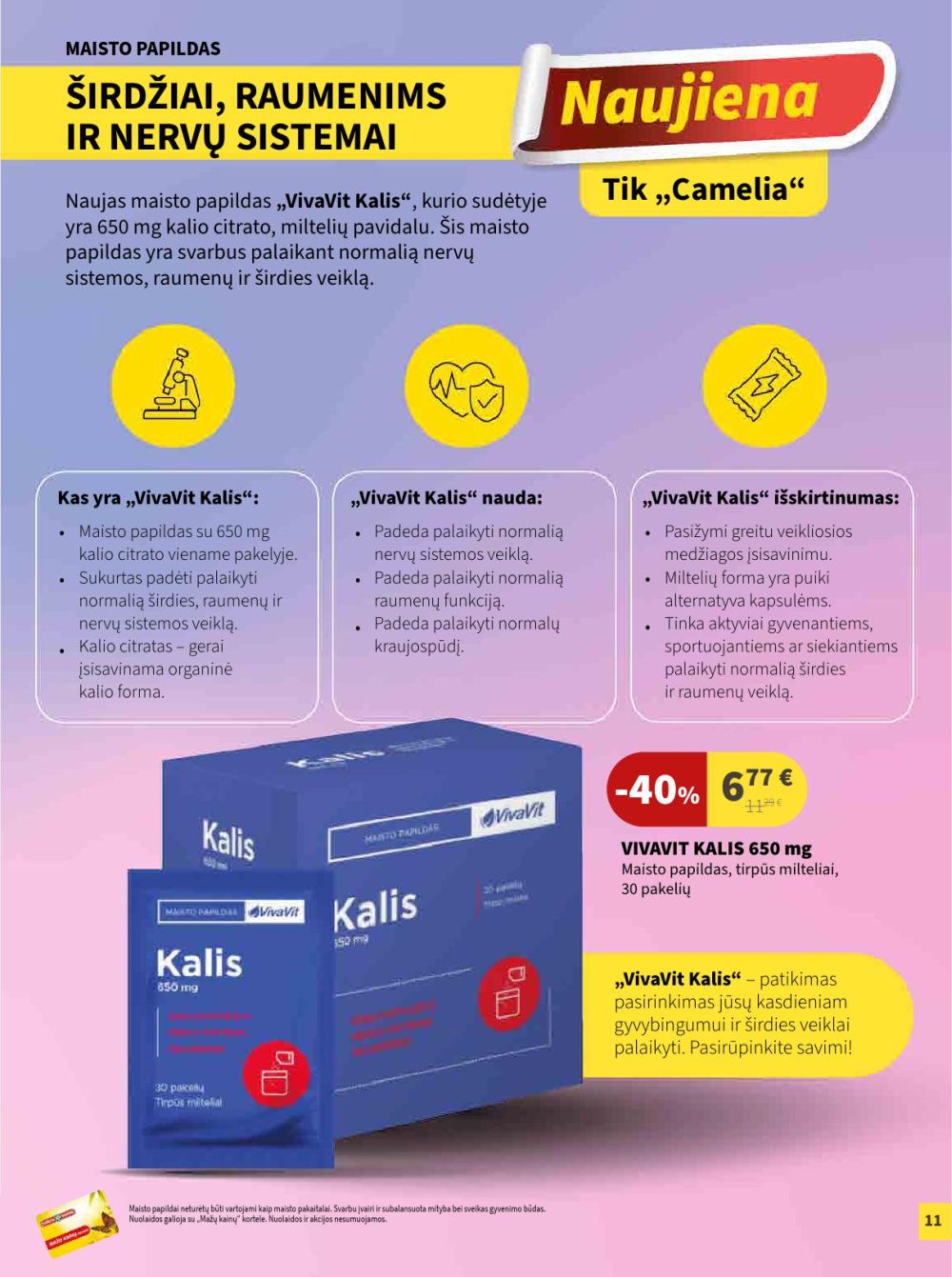 CAMELIA - Leidinys Nr.1 (2026 01 01 - 2026 01 31) | 11