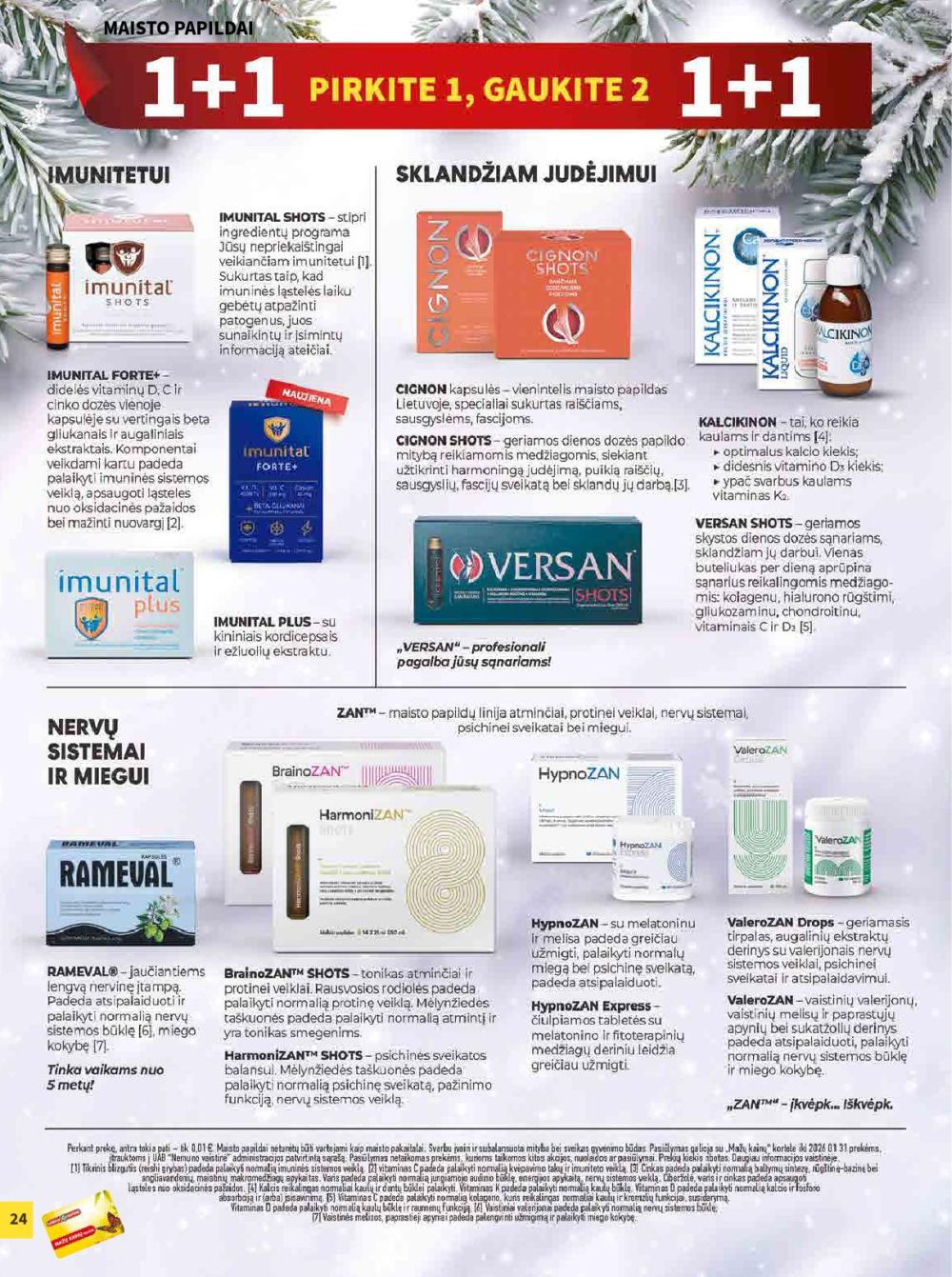 CAMELIA - Leidinys Nr.1 (2026 01 01 - 2026 01 31) | 24