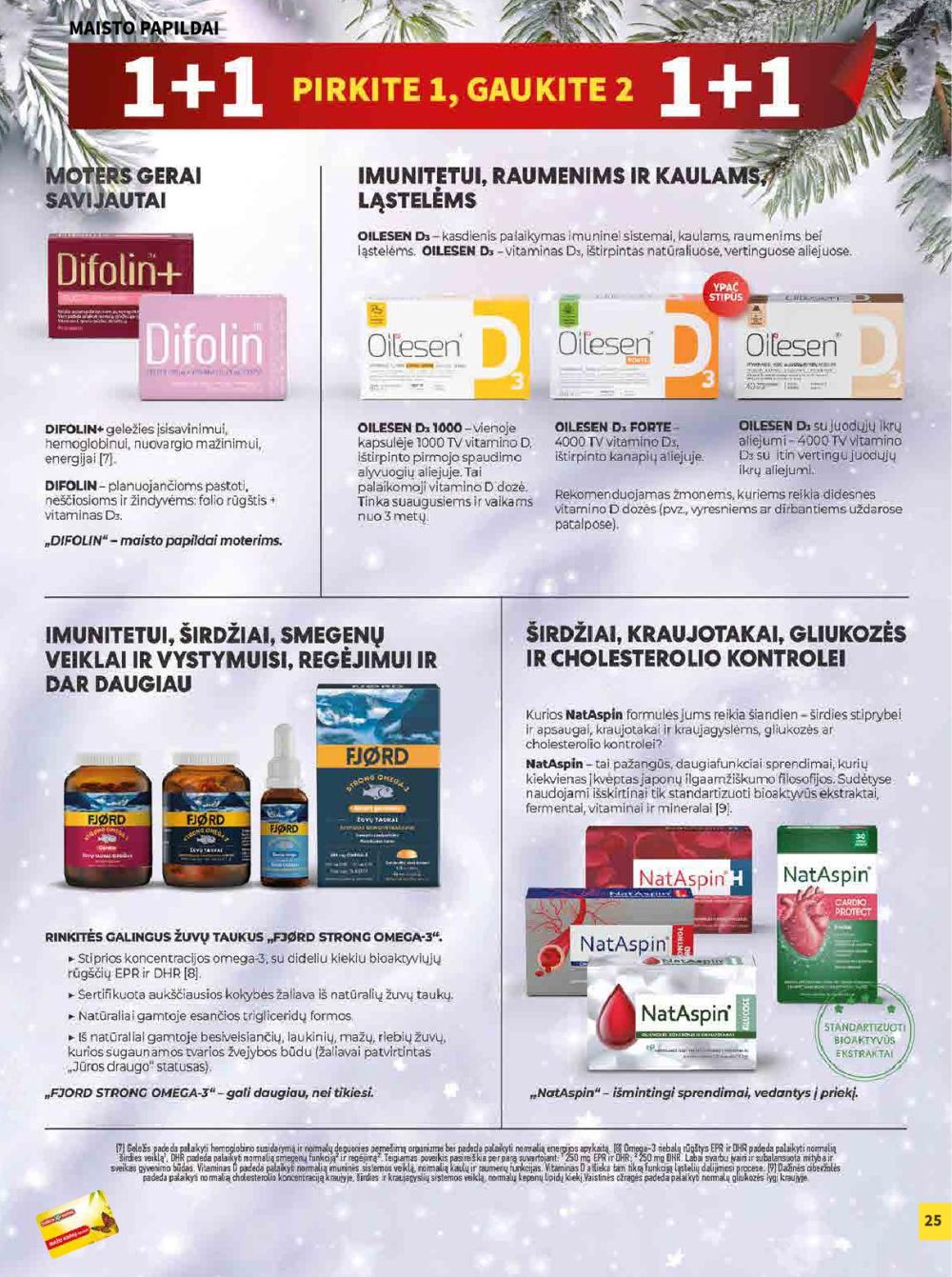 CAMELIA - Leidinys Nr.1 (2026 01 01 - 2026 01 31) | 25