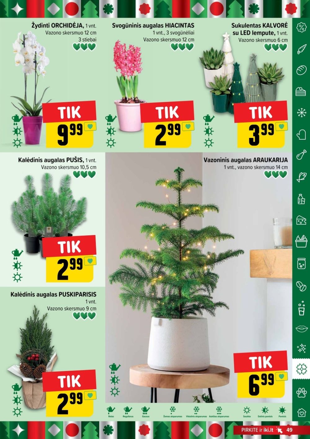 IKI - Leidinys Nr.47 (2025 11 17 - 2025 11 23) | 49